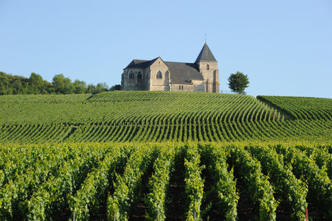 シャンパーニュ コレ ブリュット マグナム 1500ml【 オリジナルグラス付】